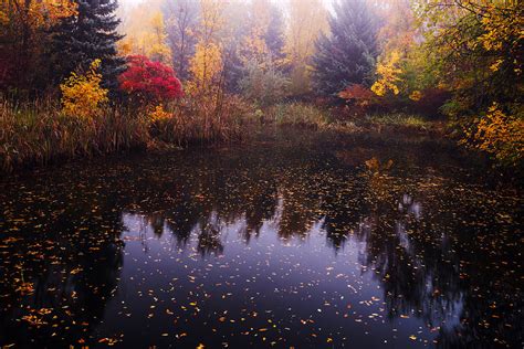 Boise Autumn Photograph By Vishwanath Bhat Fine Art America