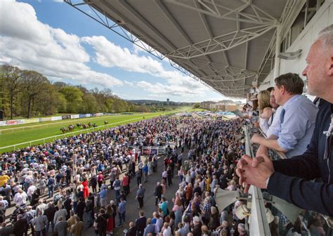 Hospitality Hamilton Park Racecourse