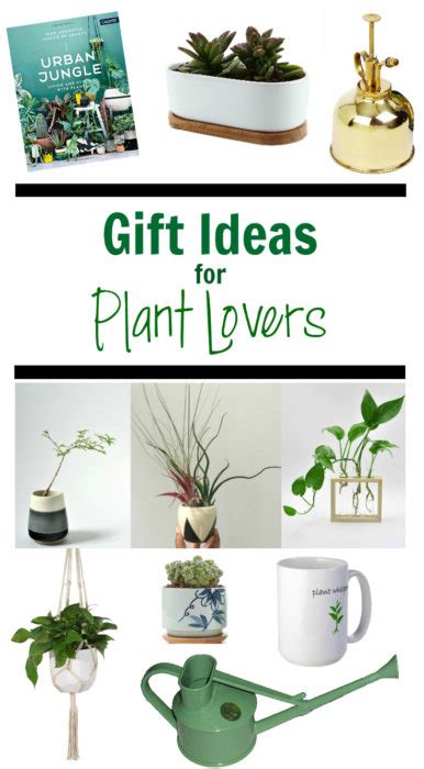 Check spelling or type a new query. Plant Accessories Archives - Clever Bloom