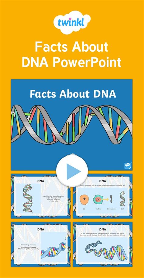 facts about dna powerpoint this powerpoint contains some interesting facts about dna use it