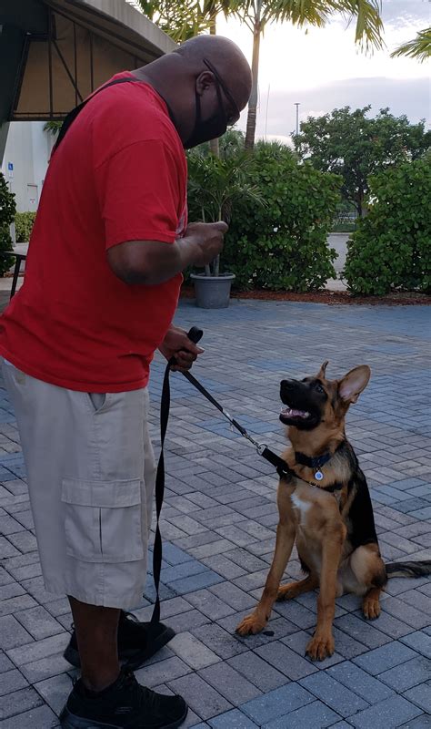 Are you ready to unlock the full potential of your furry companion