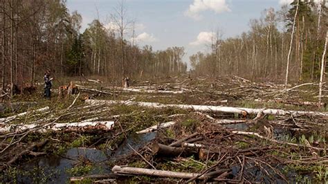 Current environmental issues in malaysia 2017. Environmental Issues In Southeast Asia - YouTube