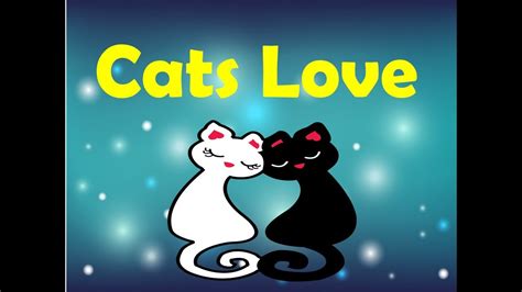 Cats Love Video 2017 Youtube
