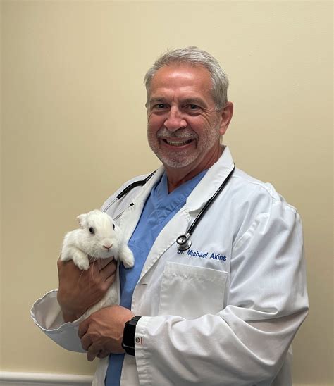 All Creatures Animal Hospital - Our Staff