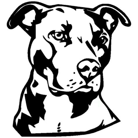 14152cm Pit Bull Face Vinyl Decal Car Styling Animal Decoration