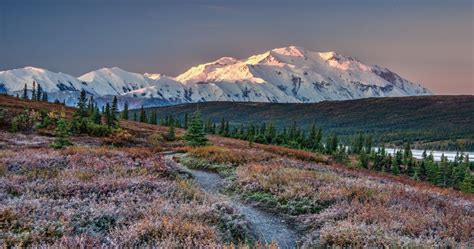 10 Best Hikes In Denali National Park · Opsafetynow
