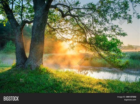 Spring Nature Scene Image And Photo Free Trial Bigstock