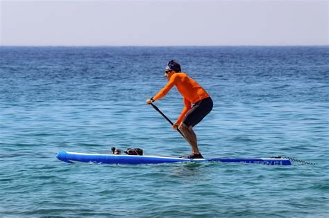 Only men compete in the 50km version. Free photo Paddleboarding Stand Board Sea Paddle Sport ...