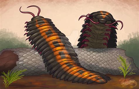 Arthropleura The 2 Meter Millipede That Dominated The Earth Pledge Times