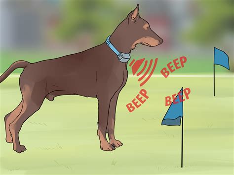 An invisible dog fence is an underground fencing system that uses a small electrical charge to create a hidden boundary around the yard for your pet. 3 Ways to Install an Underground Dog Fence - wikiHow