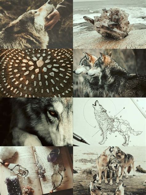 kinstethic wolf aesthetic werewolf aesthetic magic aesthetic witch aesthetic