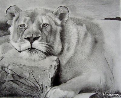 Check spelling or type a new query. Detailed Pencil Drawings of Animals and People by Doreen Cross — Art is Fun
