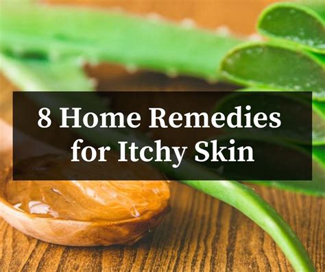 Itchy Skin Causes Treatment And Itchy Skin Home Remedies
