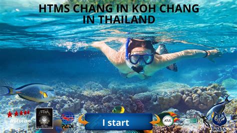 Dive Into The Unforgettable Underwater Adventure In Koh Chang