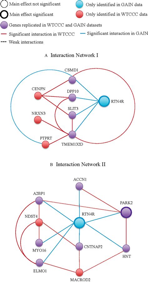 Gene Gene Interaction Networks The Solid Lines Represent Significant Download Scientific