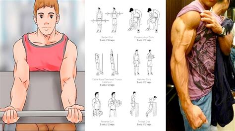 We did not find results for: The 10 Best Arm Building Exercises for