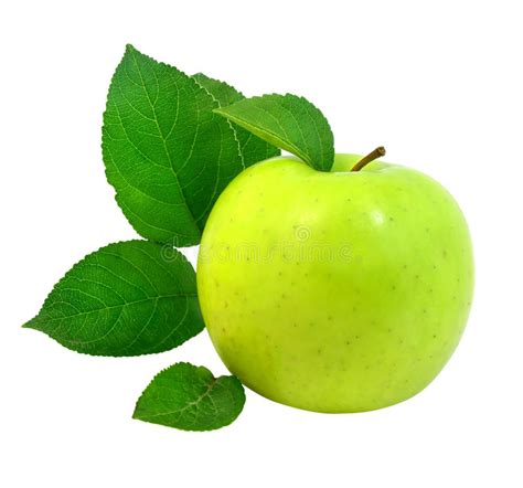 świeże Jabłko Zielone Liście Zdjęcie Stock - Obraz ...