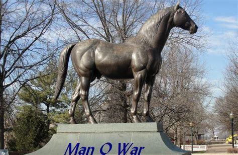 Man O War To Be Honored Throughout The Year At Kentucky Horse Park