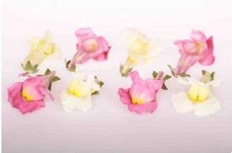 List of edible flowers for syrups, wines, infused into oils or vinegars and salads. Spring Time™ Organic Snapdragons - Freeze Dried Edible ...