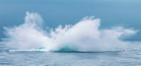 A Whale Of A Big Splash Photograph By David A Litman Fine Art America