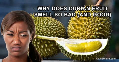 Why Durian Smells So Bad And Why You Shouldnt Worry About It