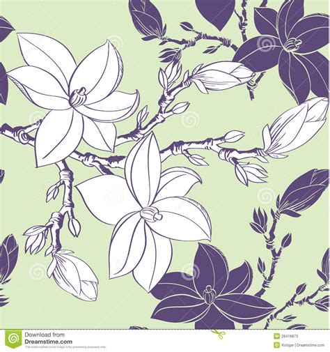Linear floral background, flowers pattern. Seamless Pattern With Drawing Magnolia Flowers Stock ...