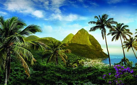 Download Breathtaking View Of Saint Lucia The Caribbean Island Wallpaper Wallpapers Com