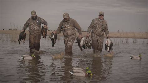 Argentina Duck Hunting Adventures Youtube