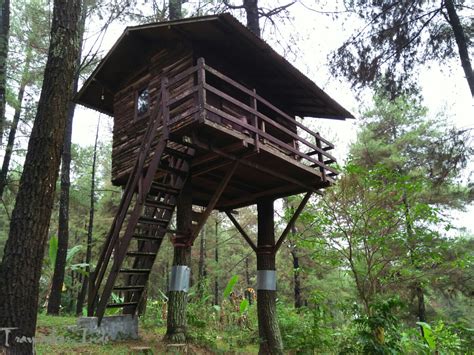 Rumah Pohon Taman Dayu