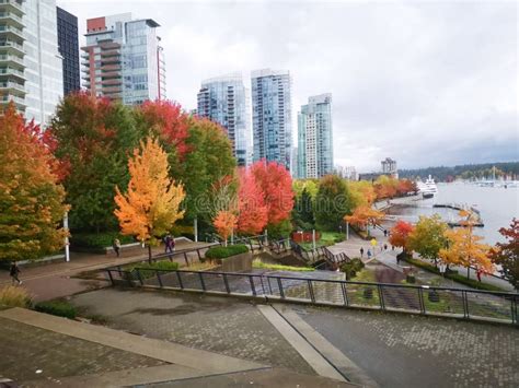 Vancouver Waterfront In Autumn Stock Image Image Of Leaves Colourful
