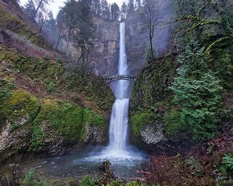 Multnomah Falls Bridal Veil 2022 What To Know Before You Go