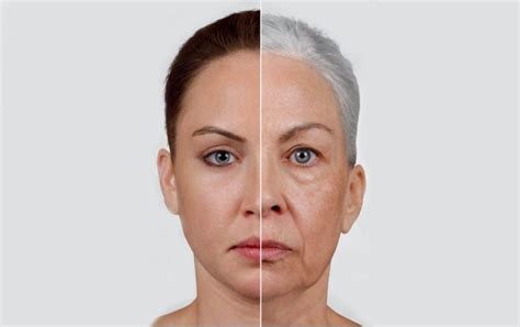 How The Face Ages And What You Can Do Aging Gracefully Refresh
