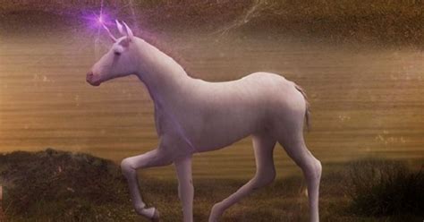 Do Unicorns Have Babies 5 Magical Unicorn Baby Facts