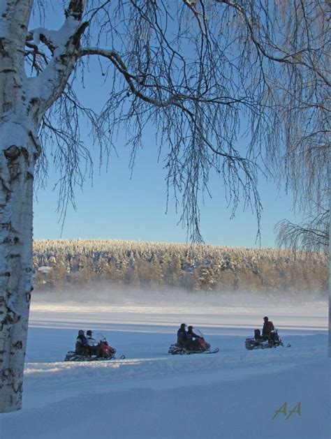Safarilla Finnish Lapland By Aili A Lapland Winter White Niagara