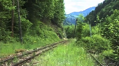 August ist die lok in österreich im einsatz! Ybbstalbahn - steam train running in scenic landscape ...