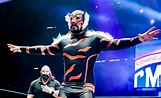 Debutó Tiger bajo el nombre de Felino Jr. | Superluchas