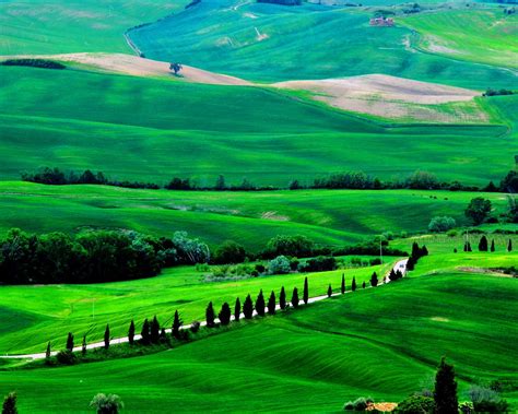 Tuscany Prairie Landscape Theme Wallpaper 14 Preview