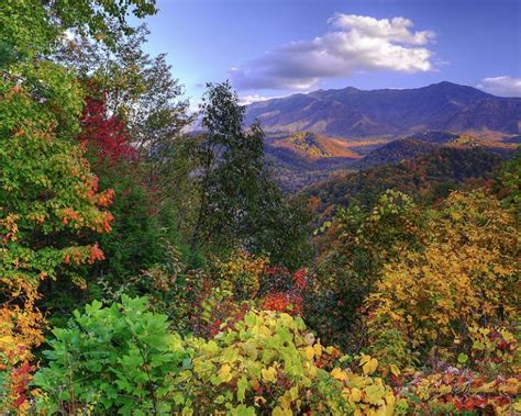 2560x1440px Fall Smoky Mountains Wallpaper Wallpapersafari
