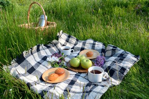 Summer Picnic In The Park Containing Picnic Picnic Basket And Picnic Blanket Food Images