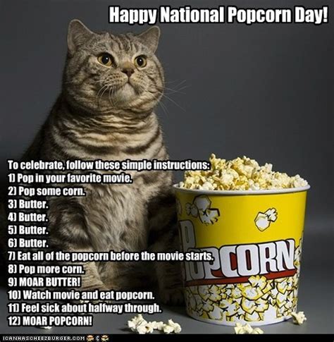 Happy National Popcorn Day I Can Has Cheezburger