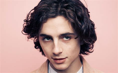 More images for how to get timothee chalamet hair » √ How To Style Your Hair Like Timothee Chalamet : Timothee ...