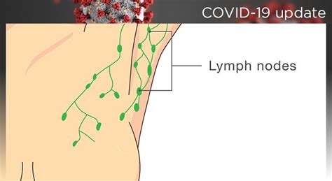 Swollen Lymph Nodes And The Covid 19 Vaccine Norton Healthcare