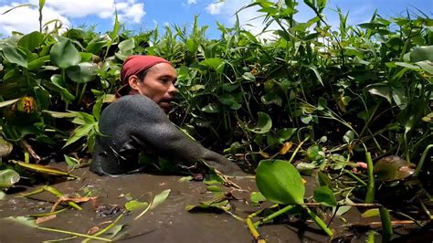 Nilagay Na Sa Lalagyan Pero Nakawala Pa Tinolang Karpa Na May Sili