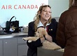 What you should know before you bring your pet on the plane – The ARK ...
