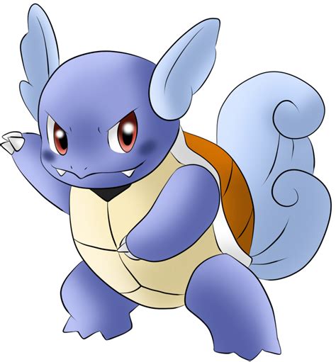 008 Wartortle By Icedragon300 On Deviantart