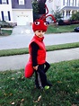 Fire ant costume | Disfraces de hormiga, Disfraces para adultos, Traje ...