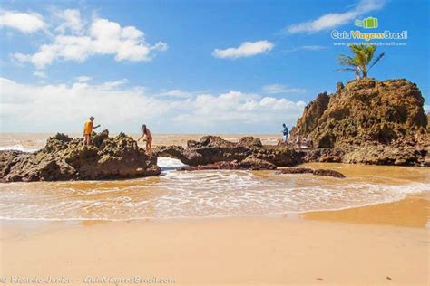 Praia De Tambaba Conde Pb O Que Saber Antes De Ir Fotos E O Que Fazer