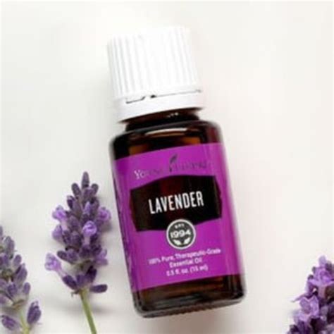 Lavender Essential Oil Young Living 1ml 2ml 5 Ml Sample Etsy