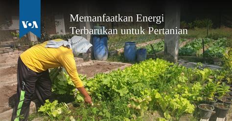 Memanfaatkan Energi Terbarukan Untuk Pertanian