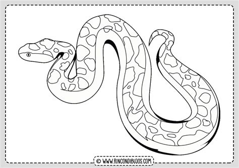 Dibujos De Serpientes Para Colorear Imprimir Y Colorear Serpientes